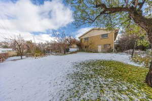 View of the backyard