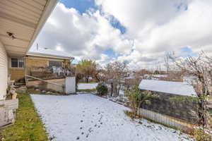 Backyard from the backdoor view