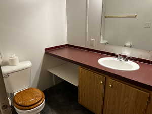 Bathroom with vanity and toilet