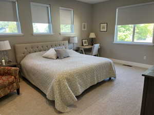 Bedroom featuring carpet floors and multiple windows