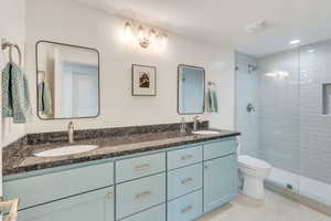 Full basement bathroom with walk-in shower