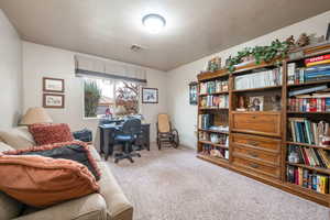 Office area with carpet flooring and a textured ceiling