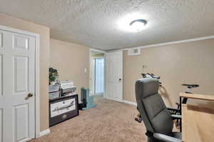 Office featuring carpet flooring and a textured ceiling