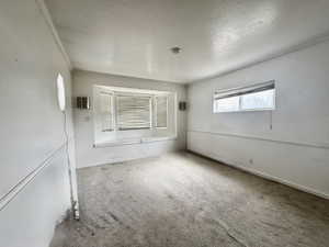 Unfurnished room with carpet flooring, a textured ceiling, and crown molding