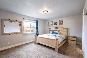 Bedroom with carpet floors