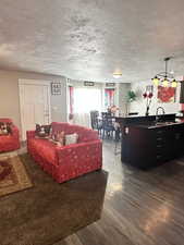 Living room with a textured ceiling, dark hardwood / wood-style floors, and sink