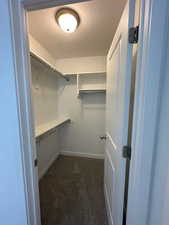 Walk in closet with dark carpet