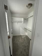 Walk in closet featuring carpet flooring