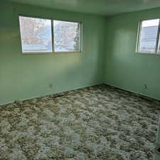 Empty room featuring plenty of natural light and carpet floors