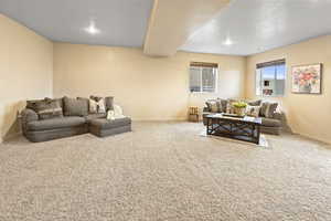 Living room featuring carpet and a textured ceiling