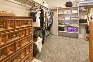 Spacious closet featuring carpet