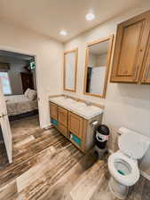 Bathroom featuring wood-type flooring, vanity, and toilet