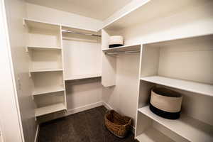 Walk in closet featuring dark colored carpet