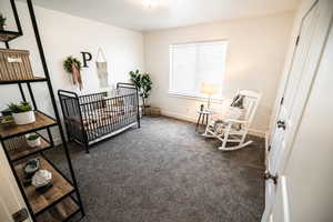 Carpeted bedroom featuring a nursery area