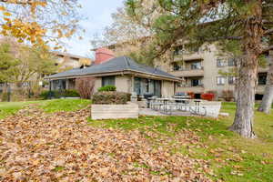 Rear view of house with a patio area and a yard