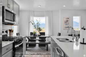 Kitchen with gray cabinetry, light hardwood / wood-style floors, sink, and stainless steel appliances