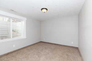 Unfurnished room featuring vaulted ceiling, carpet floors, and a textured ceiling