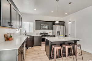 Kitchen featuring a center island, sink, hanging light fixtures, light hardwood / wood-style flooring, and stainless steel appliances