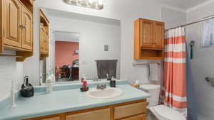 Bathroom with a shower with shower curtain, vanity, and toilet