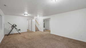 Basement featuring carpet flooring and a textured ceiling