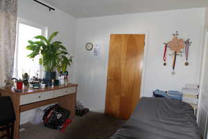 Bedroom featuring carpet floors