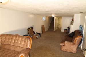 Carpeted living room featuring a textured ceiling