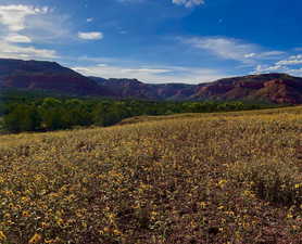 Property view of mountains