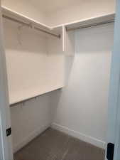 Spacious closet featuring dark carpet