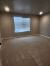 Spare room featuring carpet and plenty of natural light