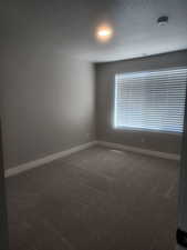 Unfurnished room with carpet floors and a textured ceiling