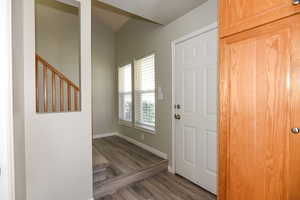 Foyer featuring dark wood-type flooring