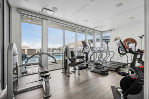 Exercise room featuring hardwood / wood-style flooring, a healthy amount of sunlight, and floor to ceiling windows