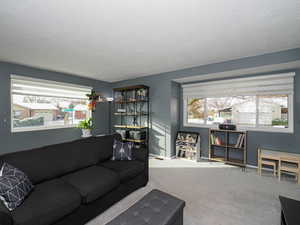 Carpeted living room with a textured ceiling