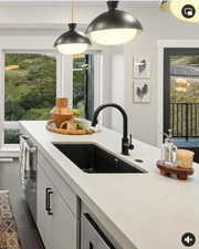 Kitchen with dark hardwood / wood-style floors, sink, and a wealth of natural light