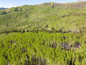 Drone / aerial view with a mountain view