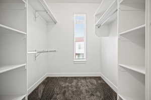 Walk in closet with dark carpet