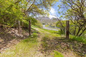 View of local wilderness featuring a mountain view