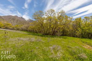 View of yard with a mountain view