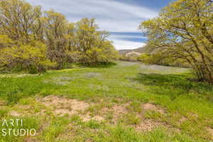 View of yard with a mountain view