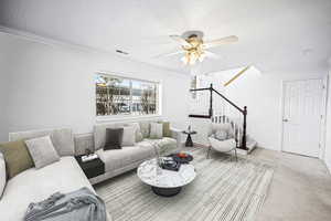 Carpeted living room with ceiling fan, ornamental molding, and a textured ceiling