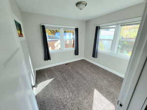 Unfurnished room featuring carpet flooring and plenty of natural light