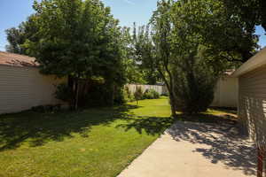 View of yard with a patio area