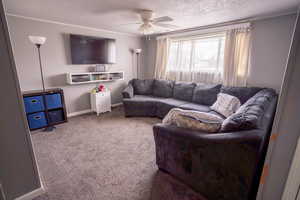 Carpeted living room featuring ceiling fan, a textured ceiling, and ornamental molding