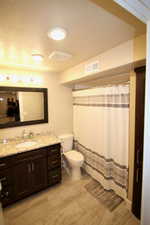 Bathroom with vanity and toilet