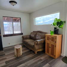 Living area with plenty of natural light and dark wood-type flooring