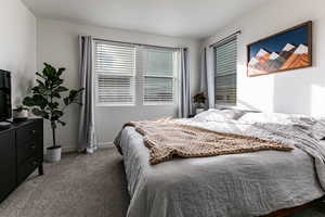 Bedroom with dark colored carpet