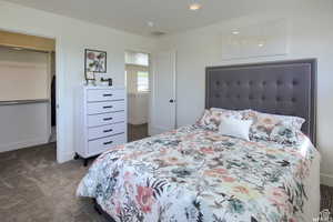 Bedroom featuring a walk in closet, a closet, and dark carpet