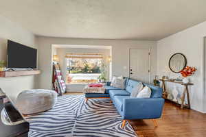 Living room featuring dark hardwood / wood-style floors