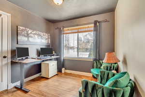 Office featuring light wood-type flooring