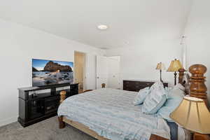 Carpeted bedroom featuring a closet